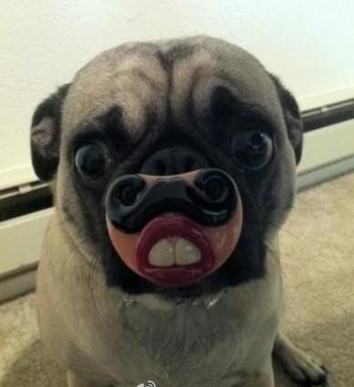 1_76cec1e081645997c35f15ffe02fae46_0