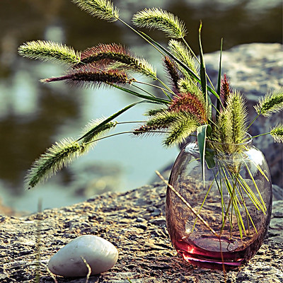 【图】美璃 小鹅蛋透明玻璃花瓶\/水养植物花瓶